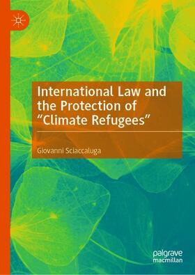 International Law and the Protection of ¿Climate Refugees¿