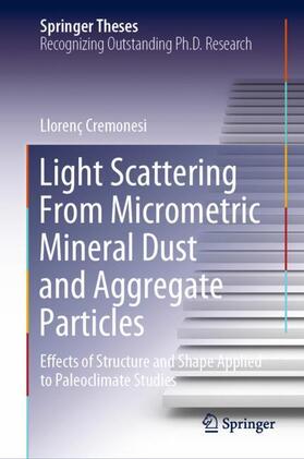 Light Scattering From Micrometric Mineral Dust and Aggregate Particles