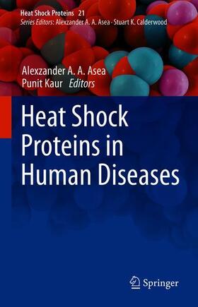 Heat Shock Proteins in Human Diseases