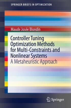 Controller Tuning Optimization Methods for Multi-Constraints and Nonlinear Systems