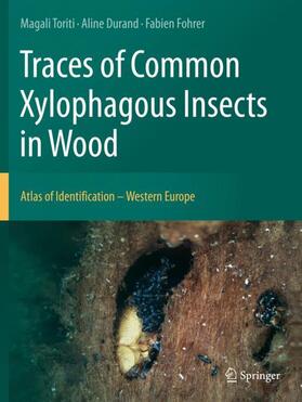 Traces of Common Xylophagous Insects in Wood