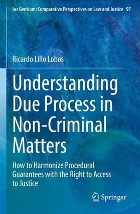 Understanding Due Process in Non-Criminal Matters