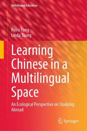 Learning Chinese in a Multilingual Space