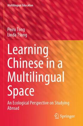 Learning Chinese in a Multilingual Space