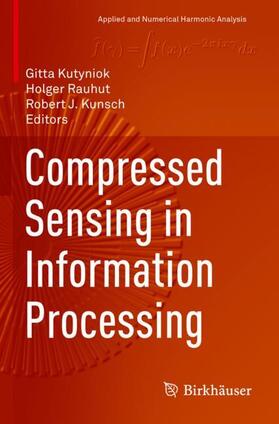 Compressed Sensing in Information Processing