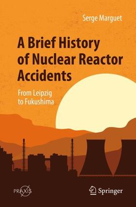 A Brief History of Nuclear Reactor Accidents