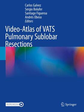 Video-Atlas of VATS Pulmonary Sublobar Resections