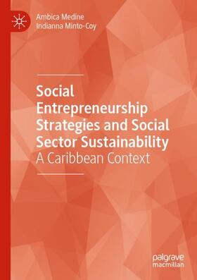 Social Entrepreneurship Strategies and Social Sector Sustainability