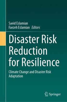 Disaster Risk Reduction for Resilience