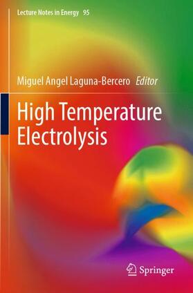 High Temperature Electrolysis