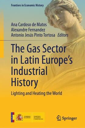 The Gas Sector in Latin Europe¿s Industrial History
