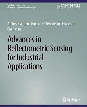 Advances in Reflectometric Sensing for Industrial Applications