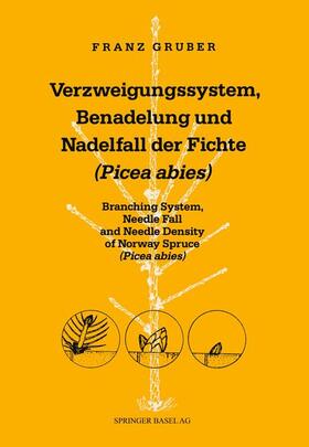 Verzweigungssystem, Benadelung und Nadelfall der Fichte (Picea abies)