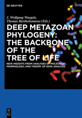 Deep Metazoan Phylogeny: The Backbone of the Tree of Life