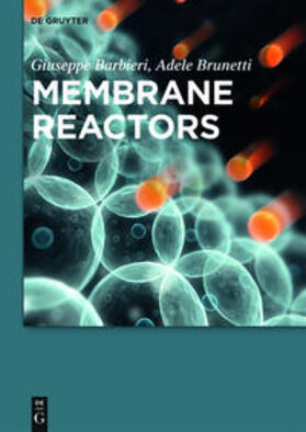 Membrane Reactors