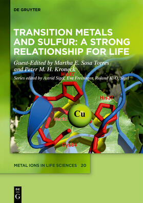 Transition Metals and Sulfur - A Strong Relationship for Life