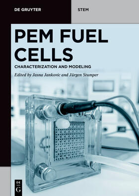 PEM Fuel Cells