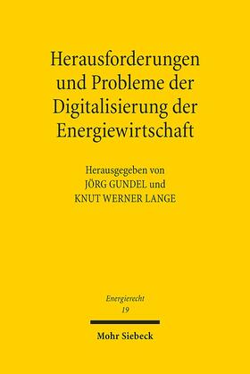 Herausforderungen und Probleme der Digitalisierung der Energiewirtschaft