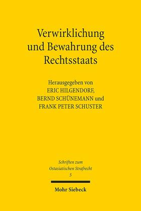 Verwirklichung und Bewahrung des Rechtsstaats