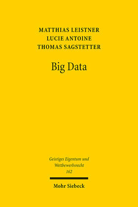 Leistner, M: Big Data