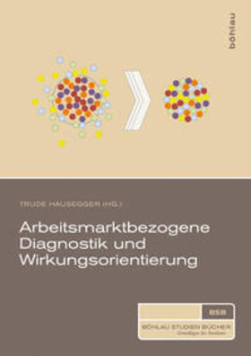 Arbeitsmarktbezogene Diagnostik und Wirkungsorientierung