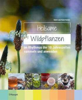 Hecker, F: Heilsame Wildpflanzen