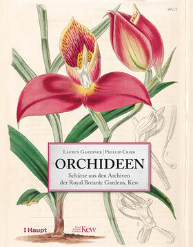 Gardiner, L: Orchideen