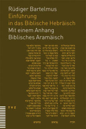 Einführung in das Biblische Hebräisch