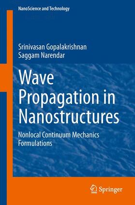 Wave Propagation in Nanostructures