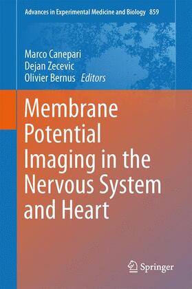 Membrane Potential Imaging in the Nervous System and Heart