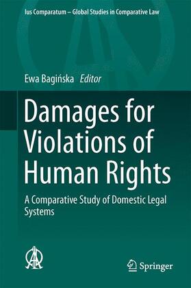 Damages for Violations of Human Rights