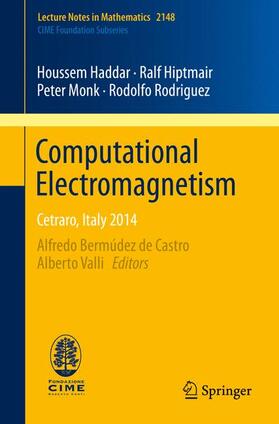 Computational Electromagnetism