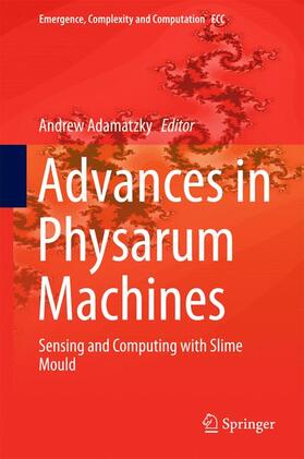 Advances in Physarum Machines