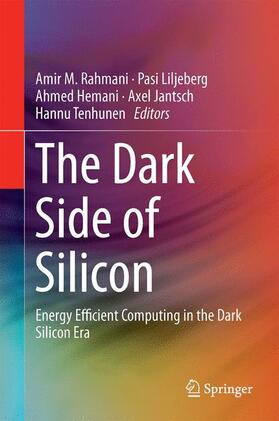 The Dark Side of Silicon