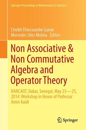 Non-Associative and Non-Commutative Algebra and Operator Theory