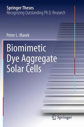 Biomimetic Dye Aggregate Solar Cells