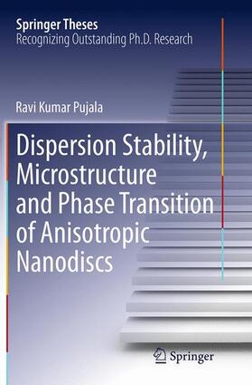 Dispersion Stability, Microstructure and Phase Transition of Anisotropic Nanodiscs