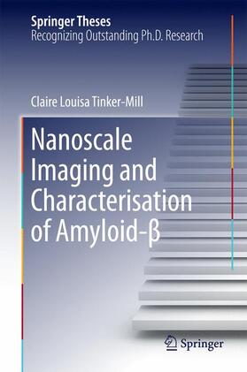 Nanoscale Imaging and Characterisation of Amyloid-¿