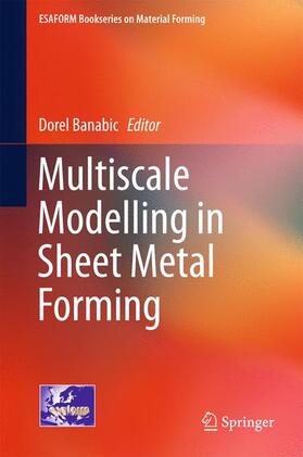 Multiscale Modelling in Sheet Metal Forming