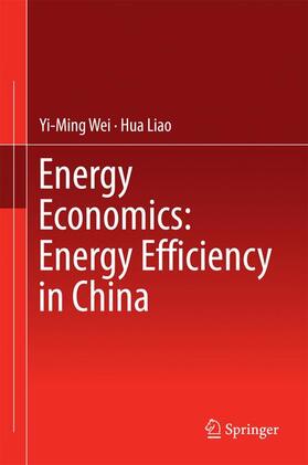 Energy Economics: Energy Efficiency in China