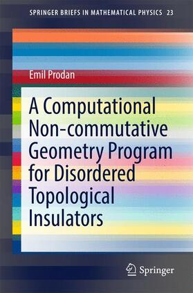 A Computational Non-Commutative Geometry Program for Disordered Topological Insulators