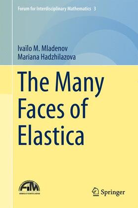 The Many Faces of Elastica