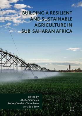 Building a Resilient and Sustainable Agriculture in Sub-Saharan Africa