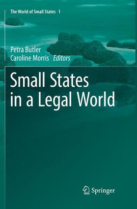 Small States in a Legal World