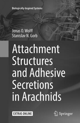 Attachment Structures and Adhesive Secretions in Arachnids