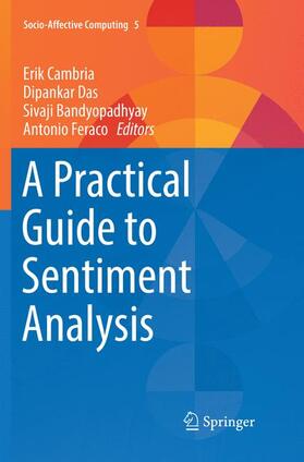 A Practical Guide to Sentiment Analysis