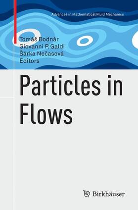 Particles in Flows