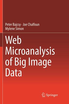 Web Microanalysis of Big Image Data