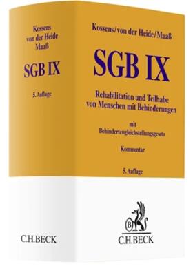 SGB IX