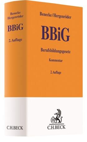 BBiG: Berufsbildungsgesetz